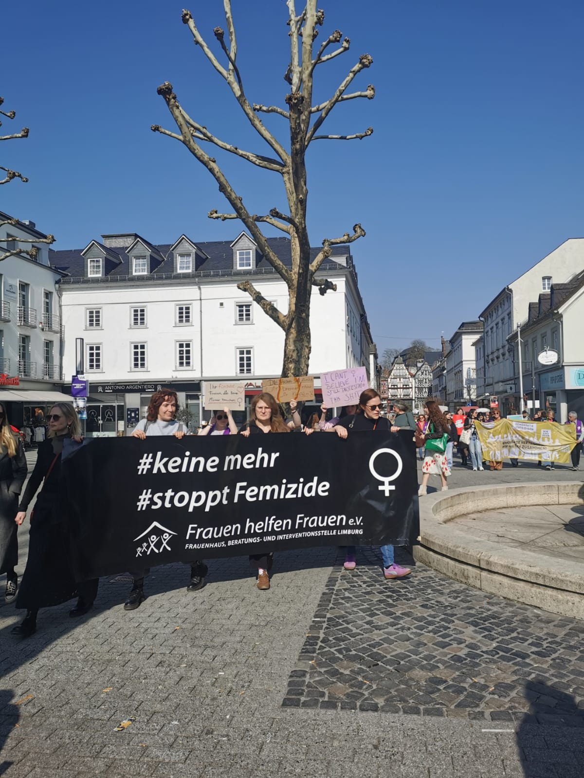 WhatsApp Image 2026-03-13 at 12.09.12